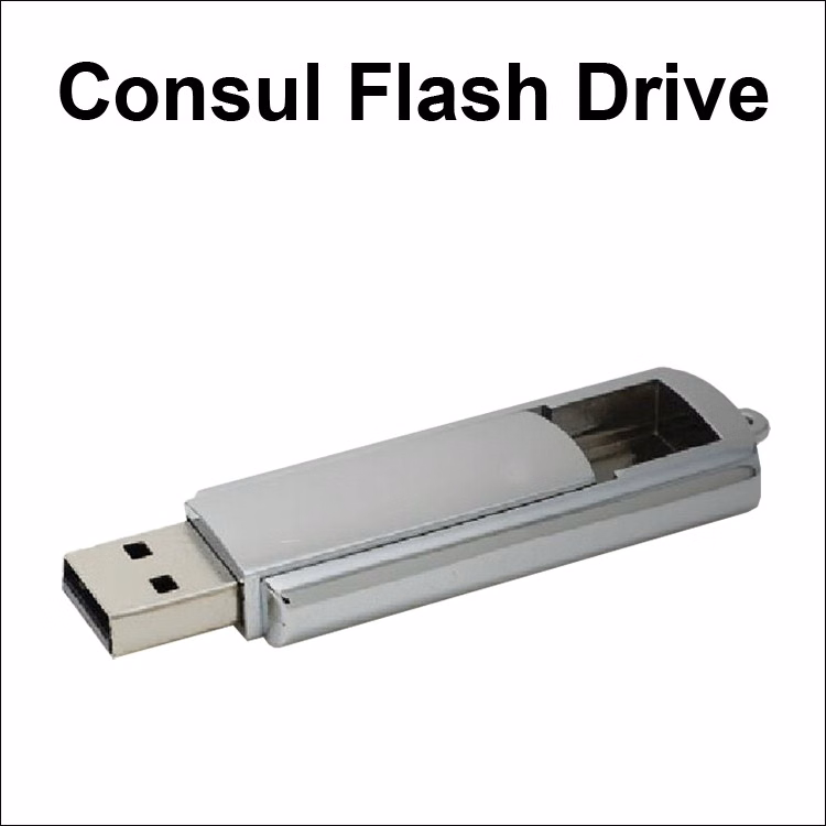 Consul Flash Drive - 256 MB Memory