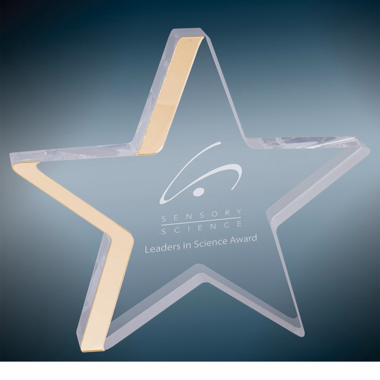 7.75" x 7" Gold Star Acrylic Award