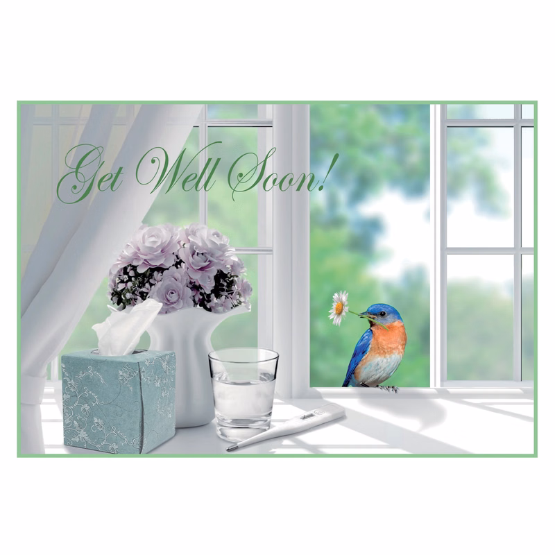 Darling Visitor Get Well Cards