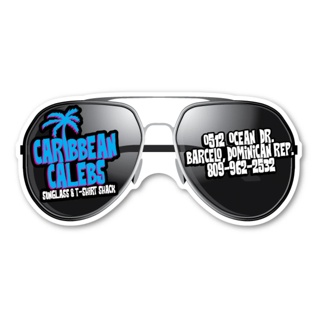 Sunglasses Magnet - 3.75" x 1.75" - 20 mil 1