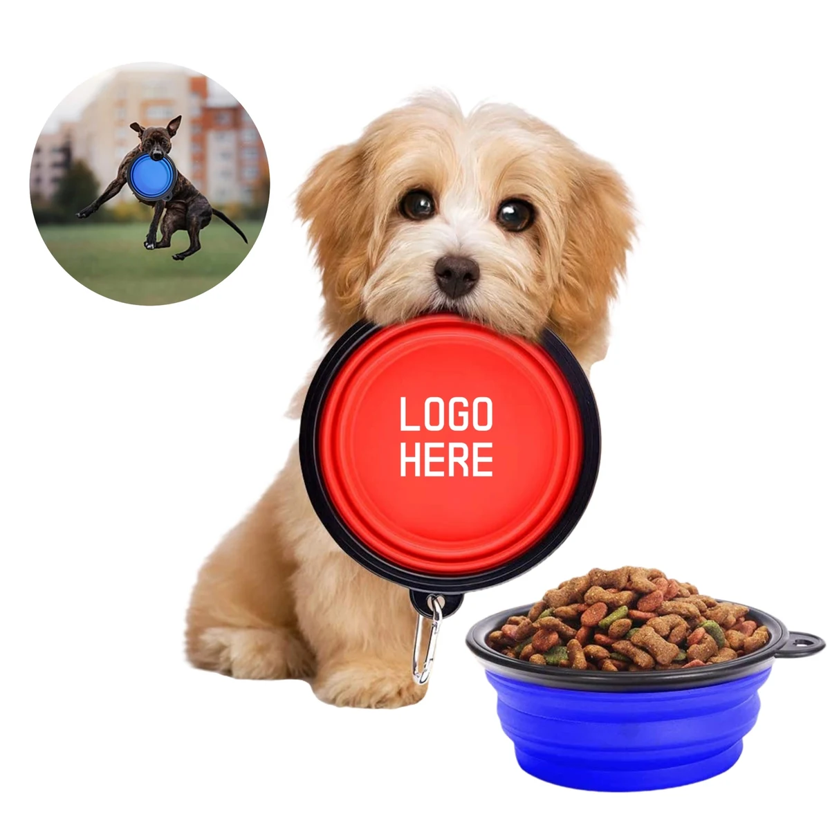 MOQ 50 Multifunctional Collapsible Pet Bowl 1