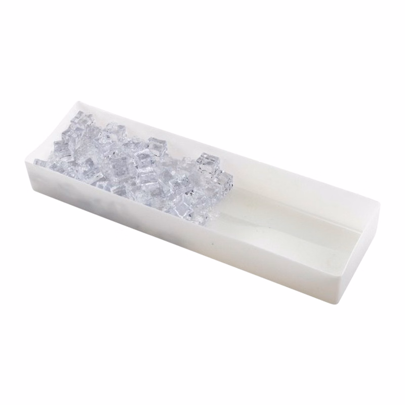 Condiment Caddy Ice Tray Insert