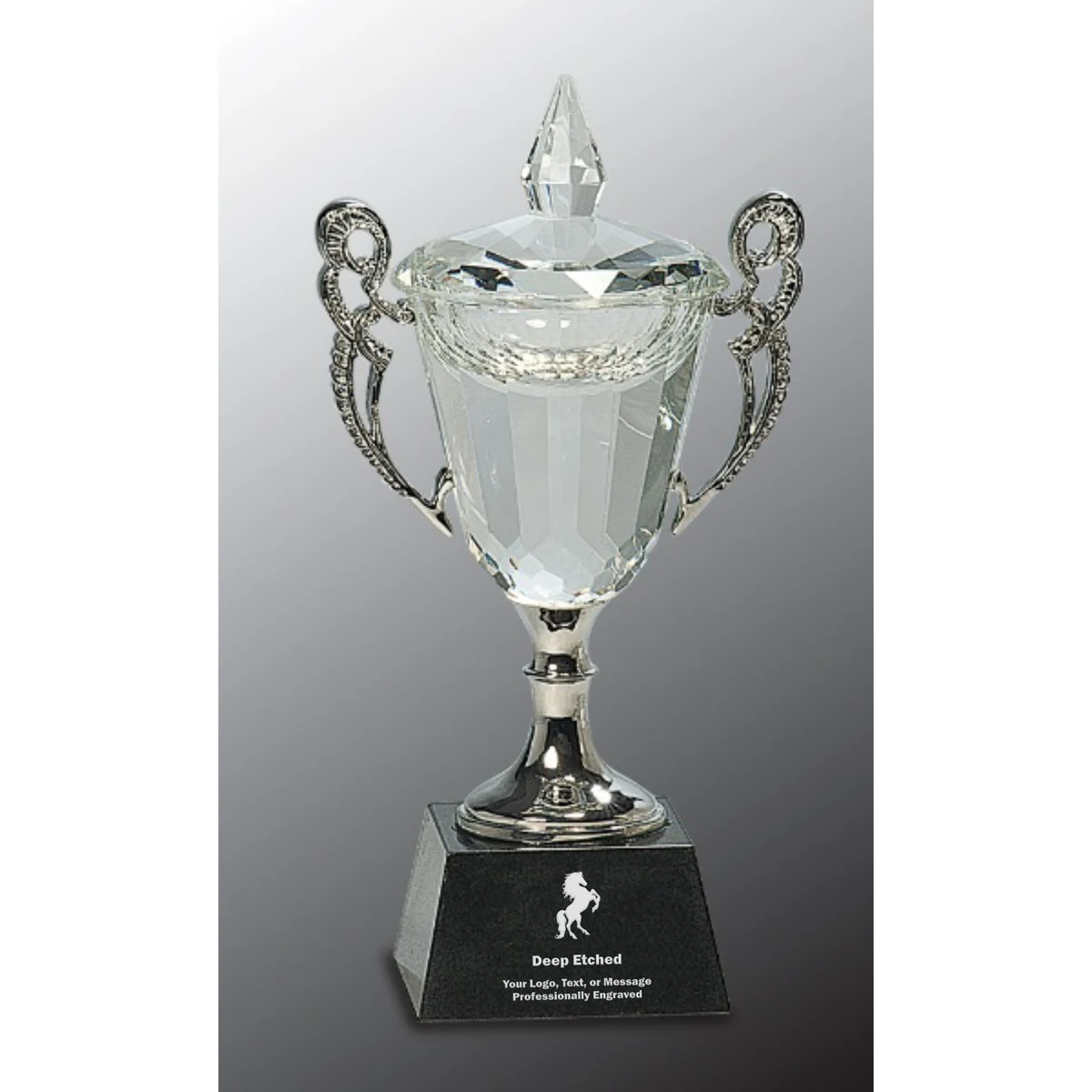 8" Crystal Cup with Silver Handles and Stem Crystal Award 1