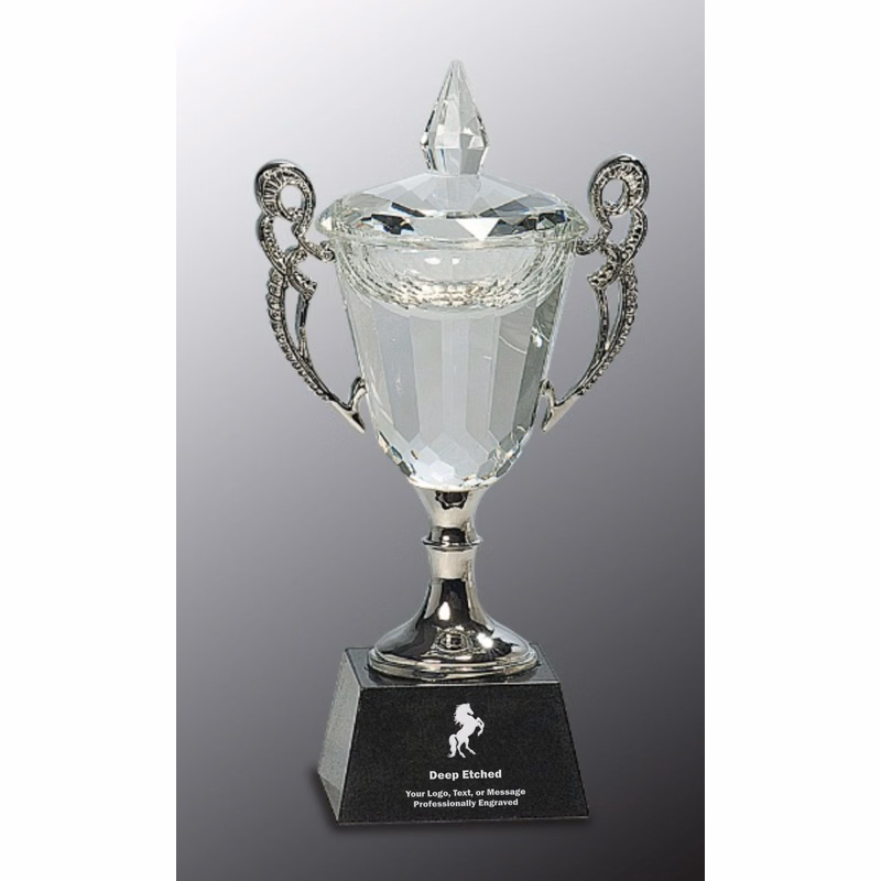 8" Crystal Cup with Silver Handles and Stem Crystal Award