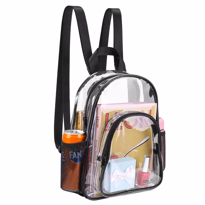 Small Clear Backpack