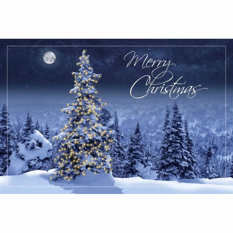 Simply Stunning Holiday Postcards