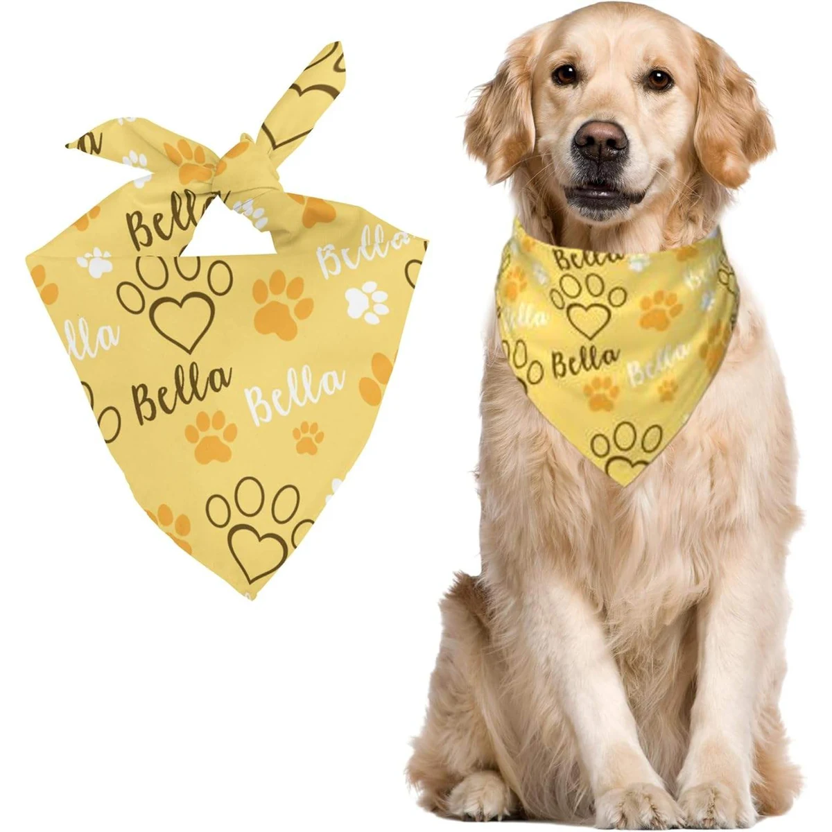 Triangle Pet Bandanna 1