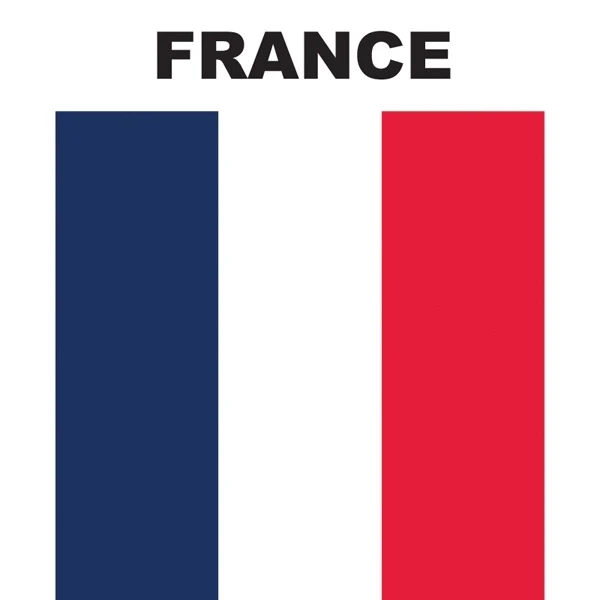 Mini Banner - France 1