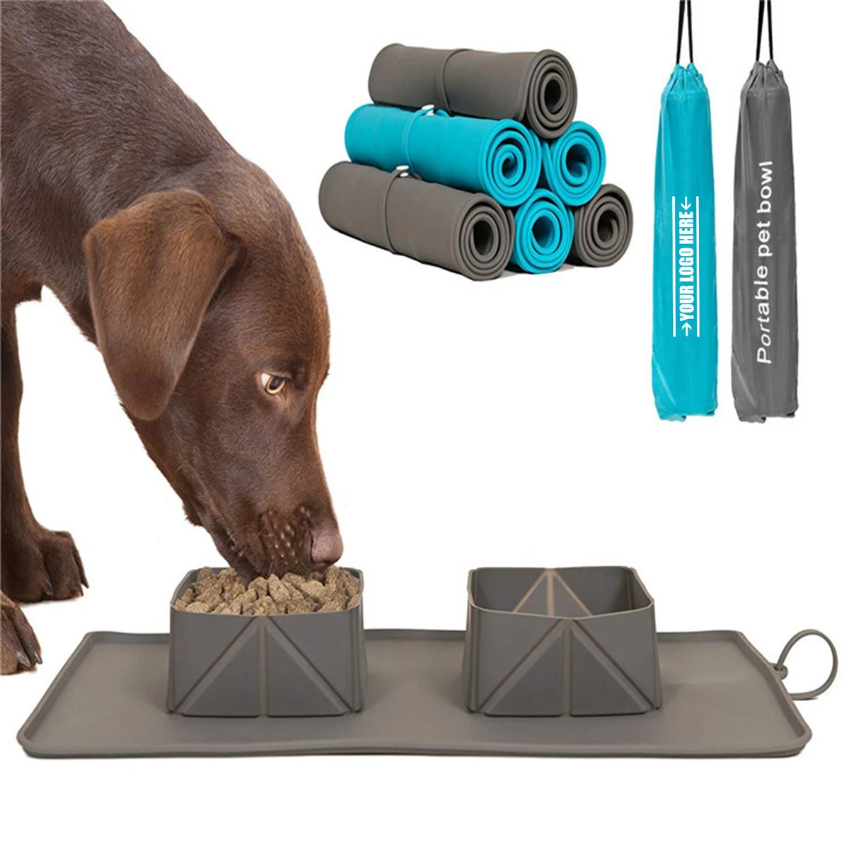 Foldable Pet Feeding Bowl With Portable Bag 1