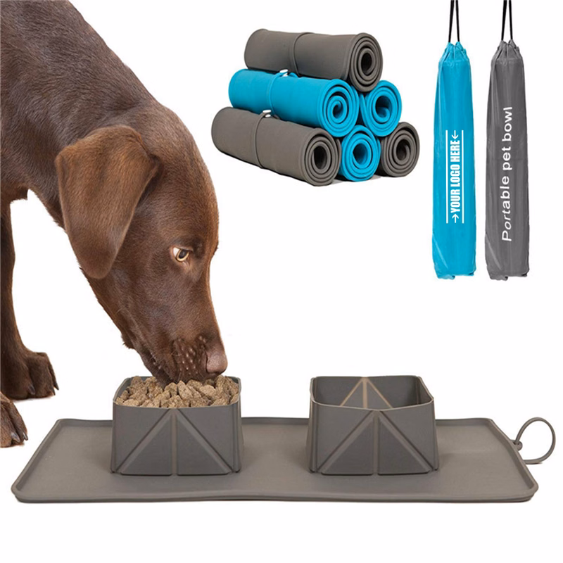 Foldable Pet Feeding Bowl With Portable Bag