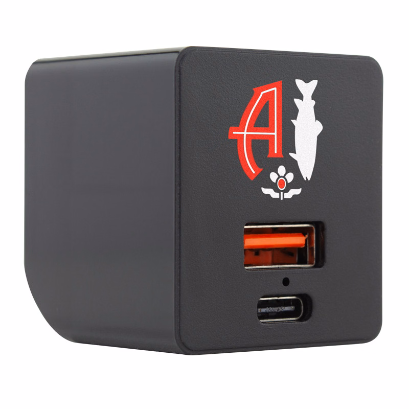 Wall Charger with Type-C