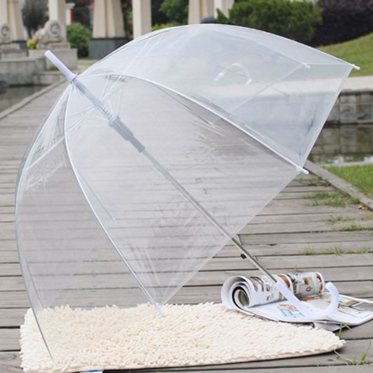 Fashion Clear Umbrella