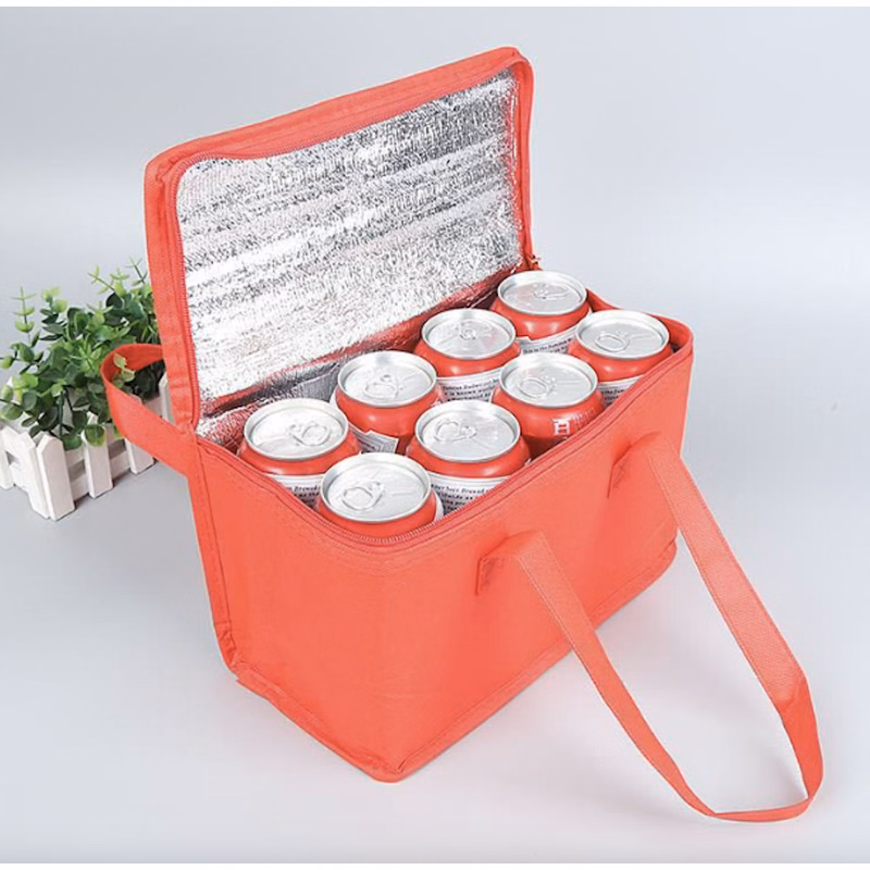 6 Pack Non-woven Cooler Bag