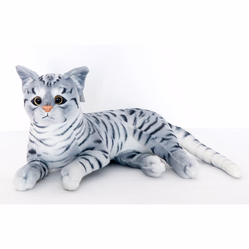 Gray Laying Cat