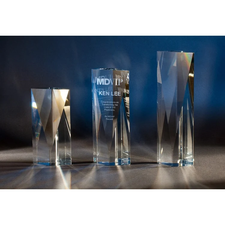 Designer Crystal Gladwell Award 1