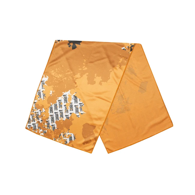 Full-Color Polar Towel 1