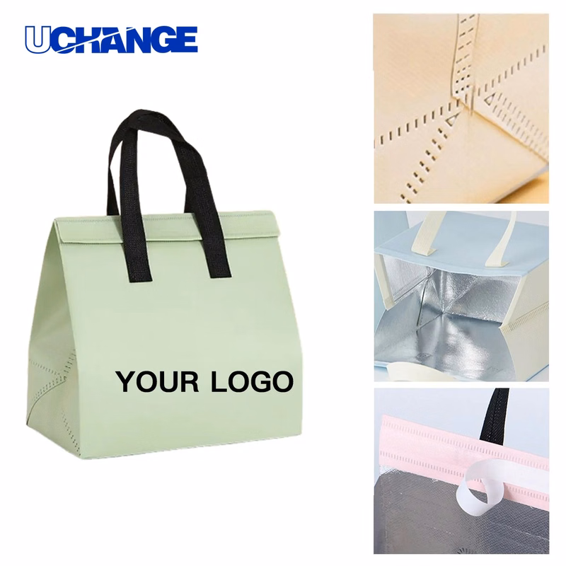PE Lined Insulated Delivery Bag Carrier