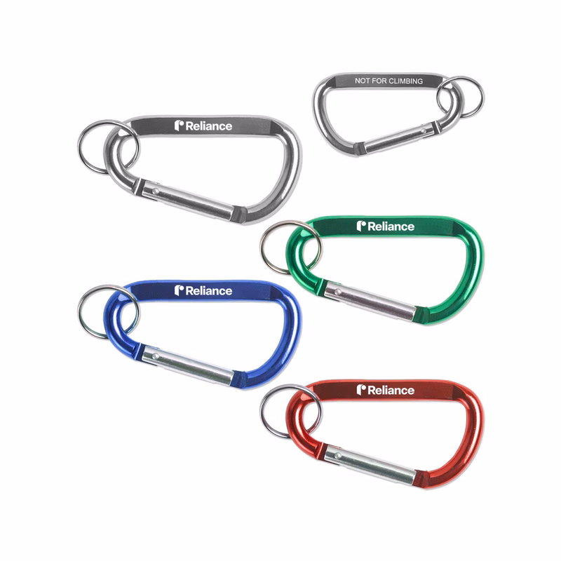 3" Carabiner Keychains
