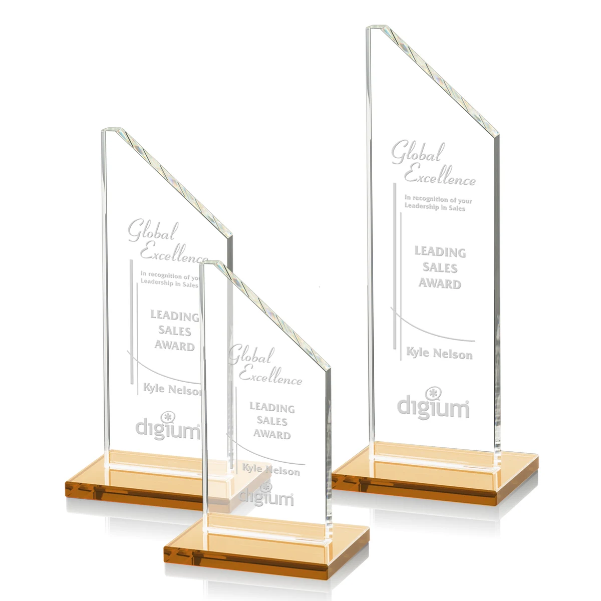 Dixon Award - Amber 1