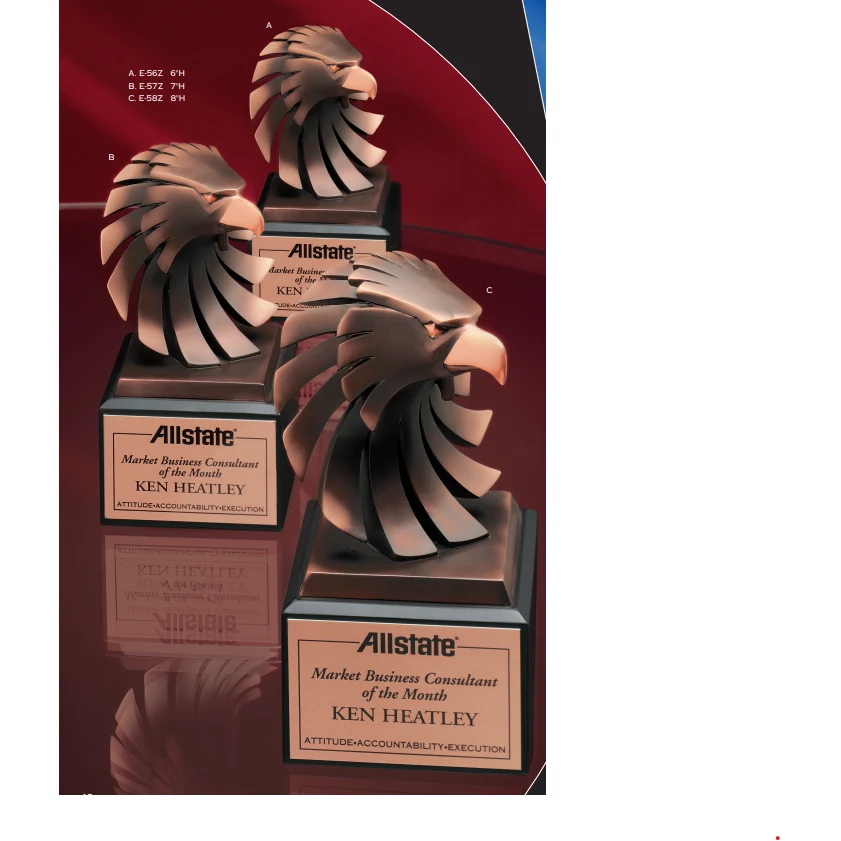 Bronze Modern Eagle Head Award 1