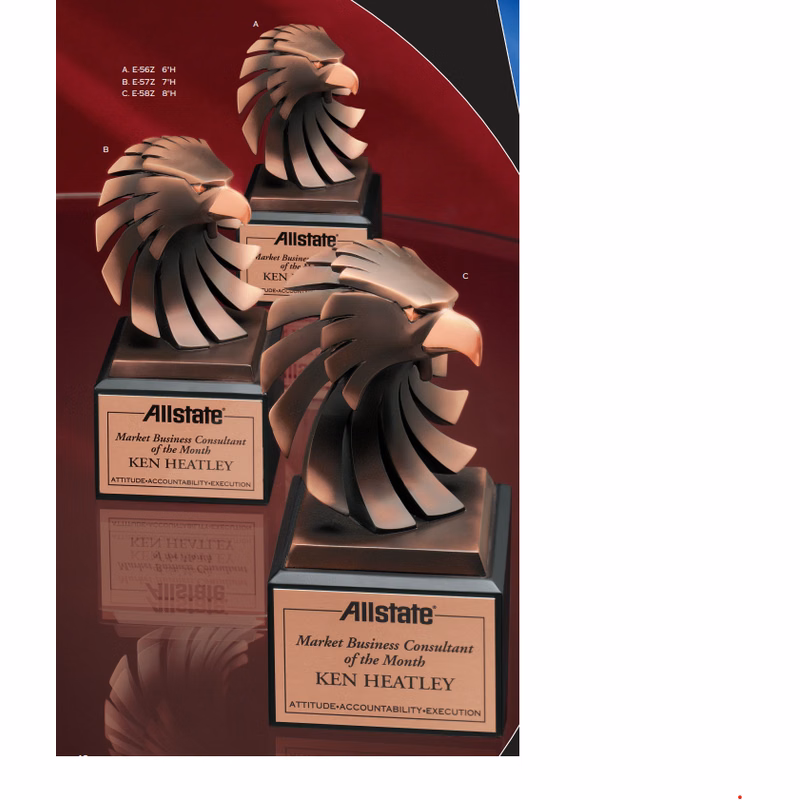 Bronze Modern Eagle Head Award