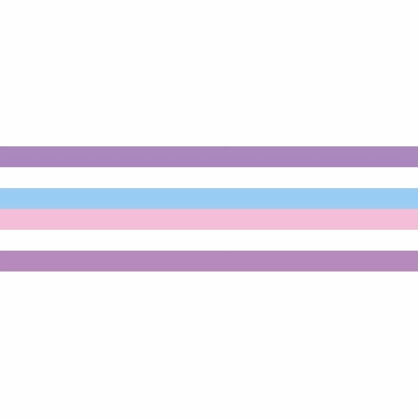 Bigender Window Decals 3" x 10"
