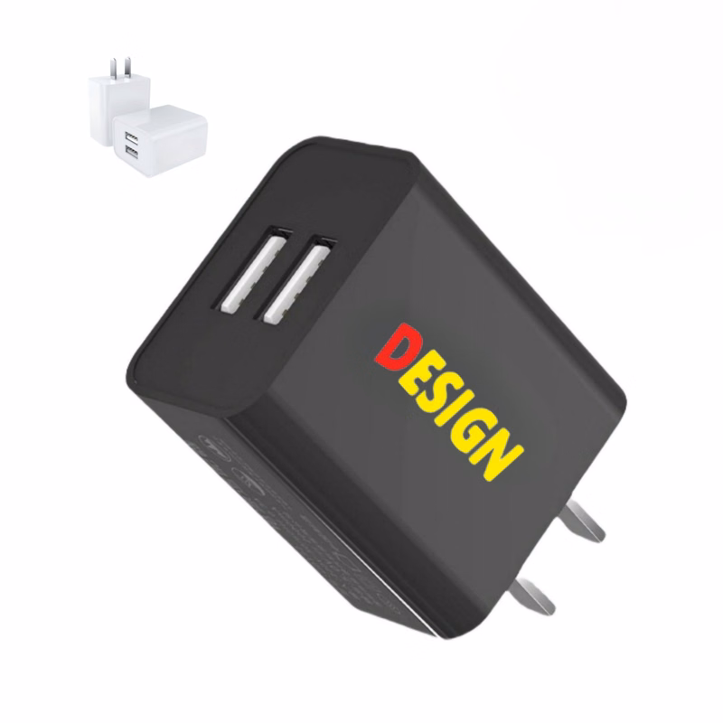 10W Dual Wall Charger Block