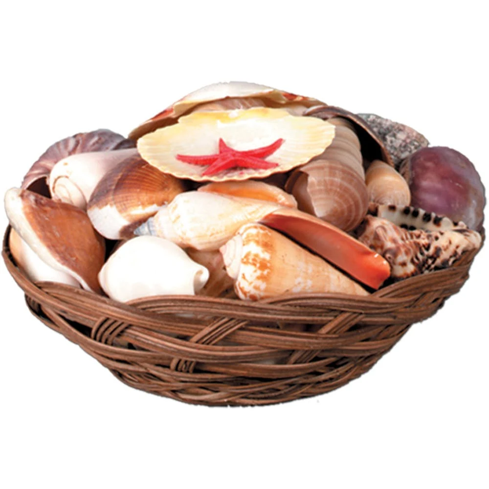 Shell Baskets - 6.5" Shells Included 1