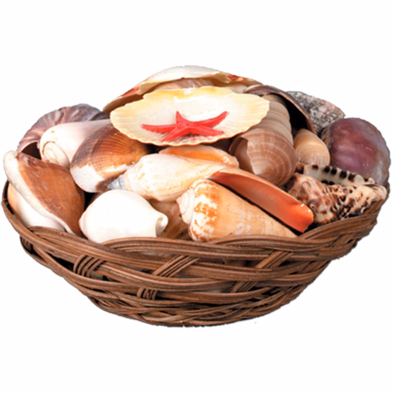 Shell Baskets - 6.5" Shells Included
