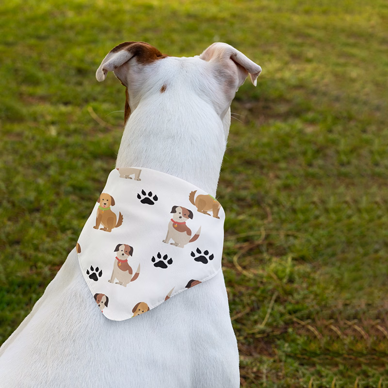 Pet Hemmed Bandana Full Color 18x18