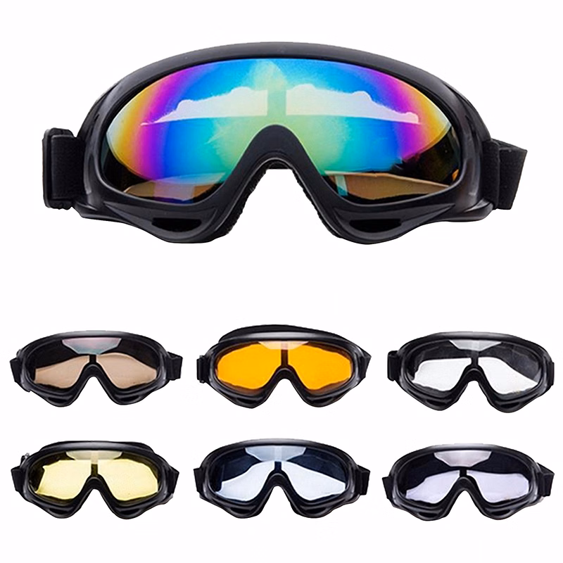 Anti-Fog Windproof Ski Goggles