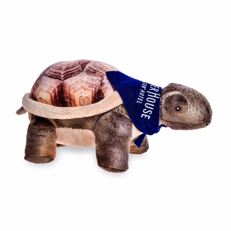 8" Desert Tortoise Turtle