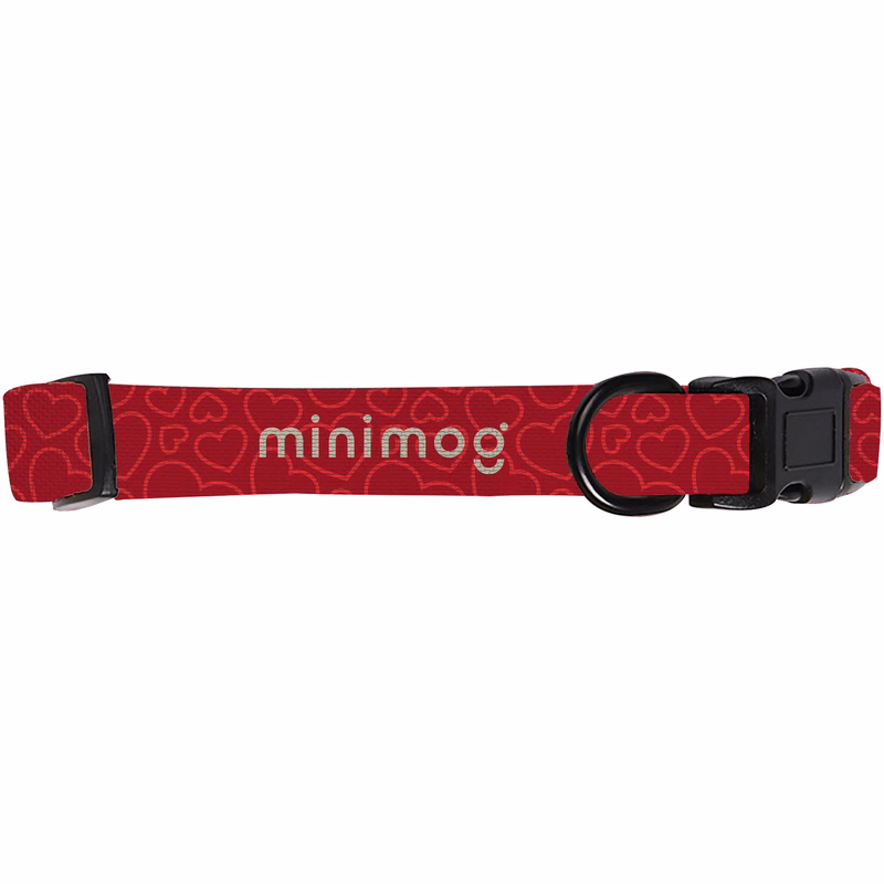 Dog Collar: Extra Small