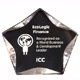 7 Inch Clear/Black Luminary Star Acrylic Trophy