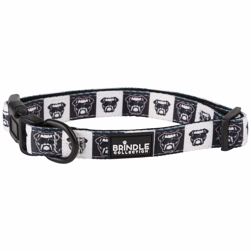 Dog Collar With Neoprene Backing: Large