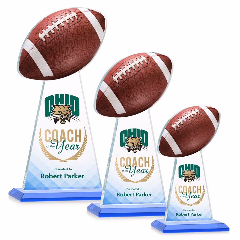 Edenwood Football VividPrint™ Award - Sky Blue
