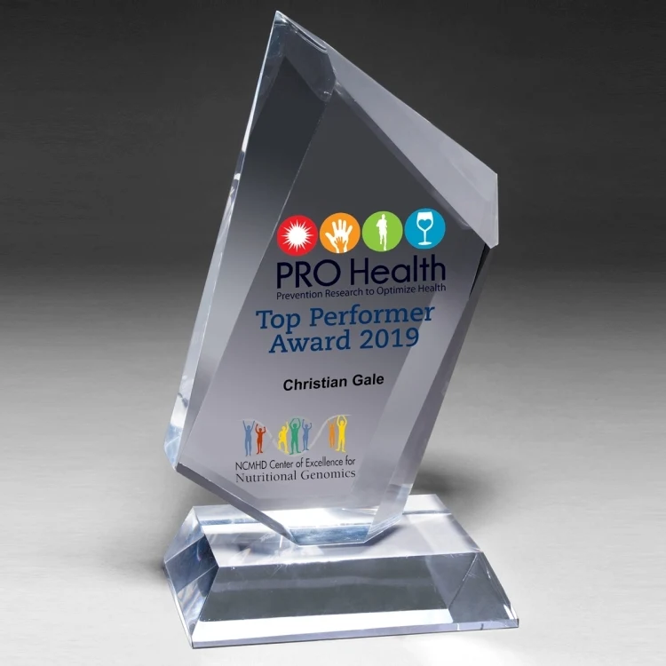 Large Summit Award - Laser Engraved 1