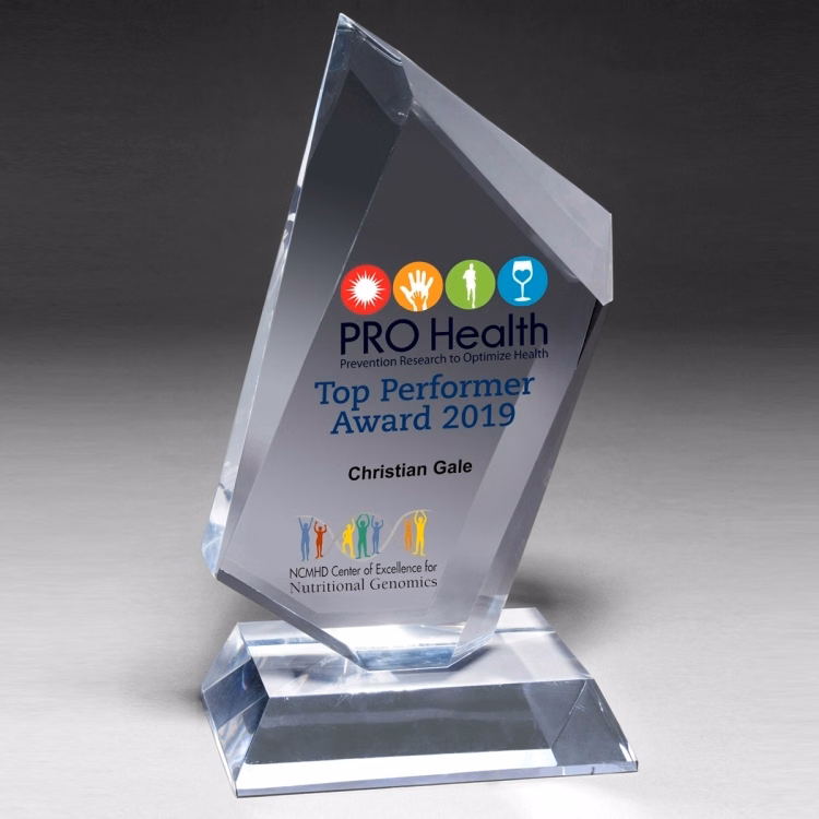 Large Summit Award - Laser Engraved