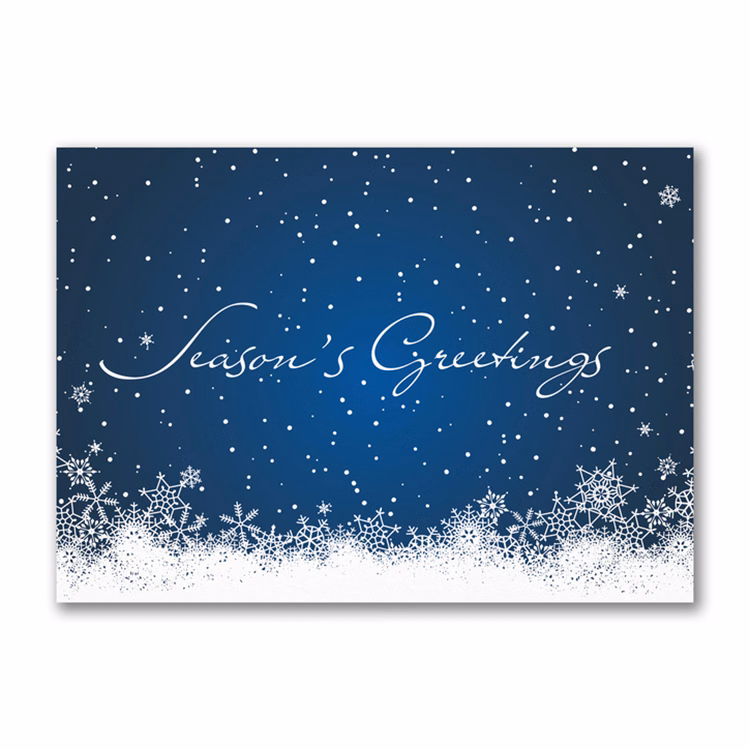 Seasonal Flurries Economy Holiday Card