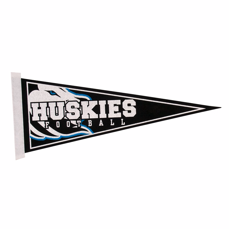 9" x 24" Colored Felt Pennant