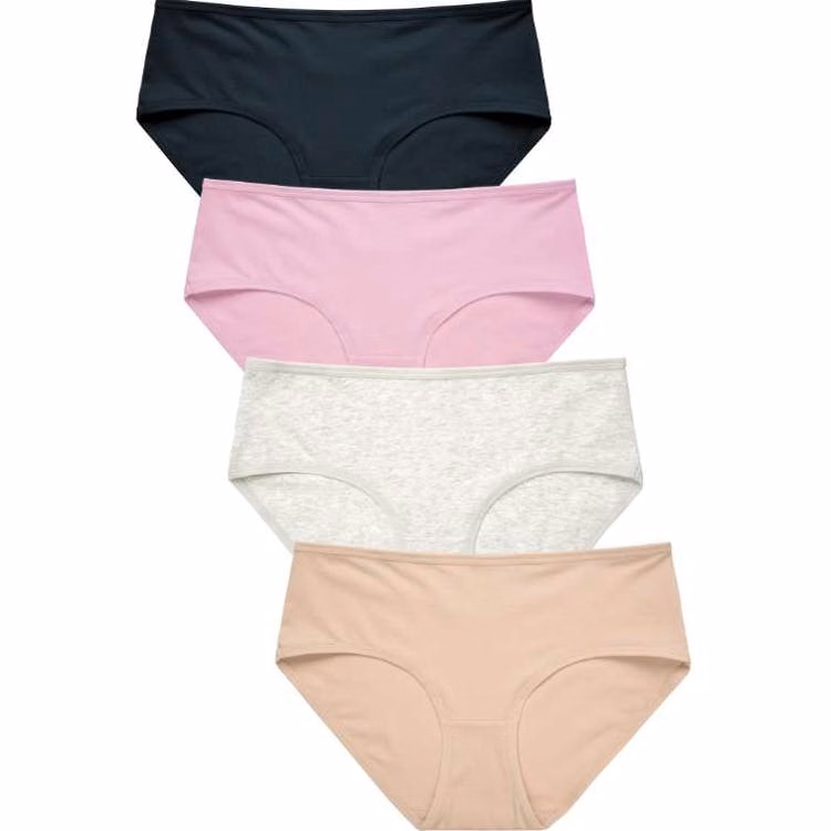 Ladies 4pk Cotton Bikini Plus Panty - Assorted Colors 2XL-3XL