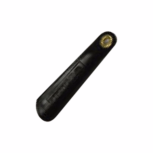 Leather Shoehorn
