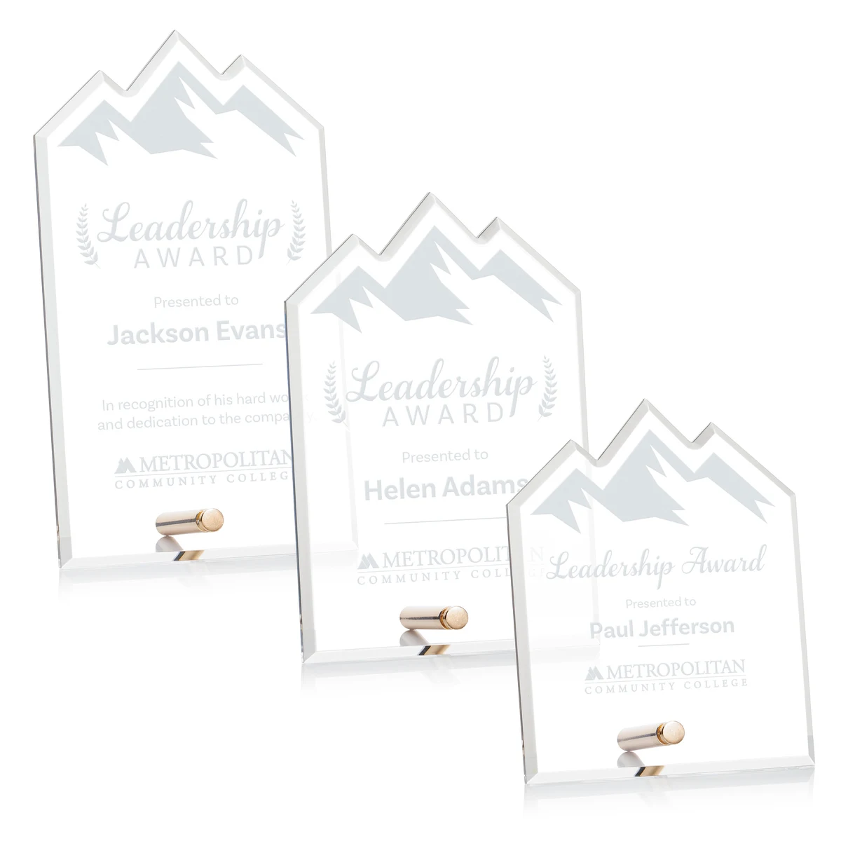 Polaris Summit Award - Gold 1
