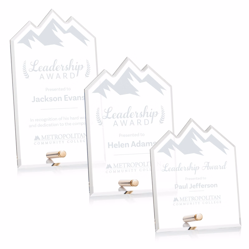 Polaris Summit Award - Gold