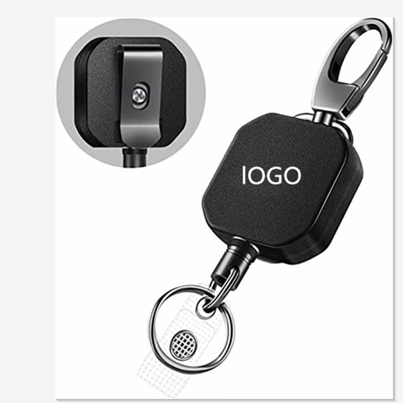 Carabiner Key Chain With Steel Cord