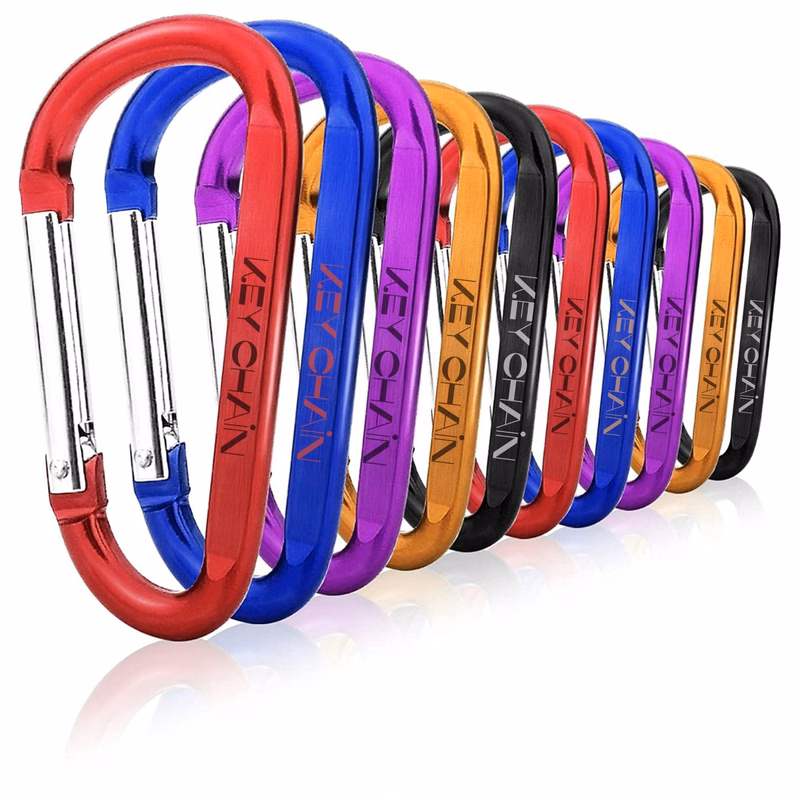 D Ring Shape Carabiner Keychain
