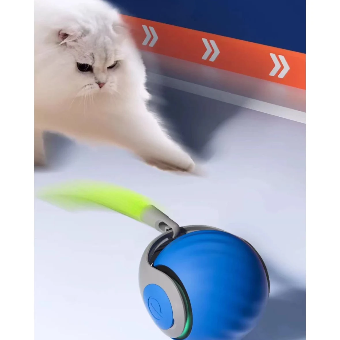 Indoor Cats Fast Rolling on Carpet 1