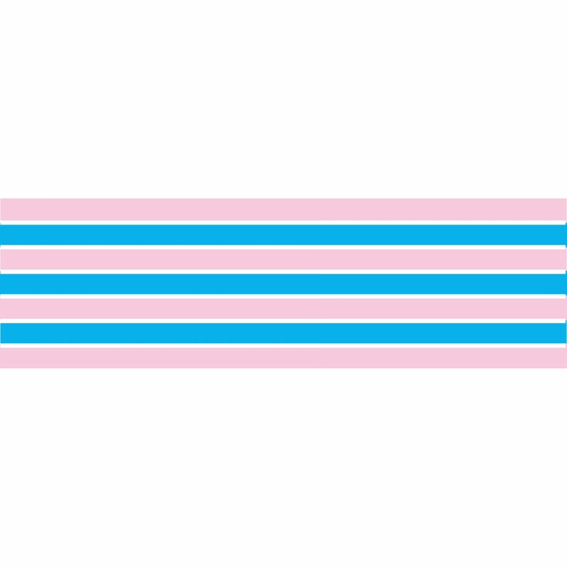 Transsexual Window Decals 3" x 10"