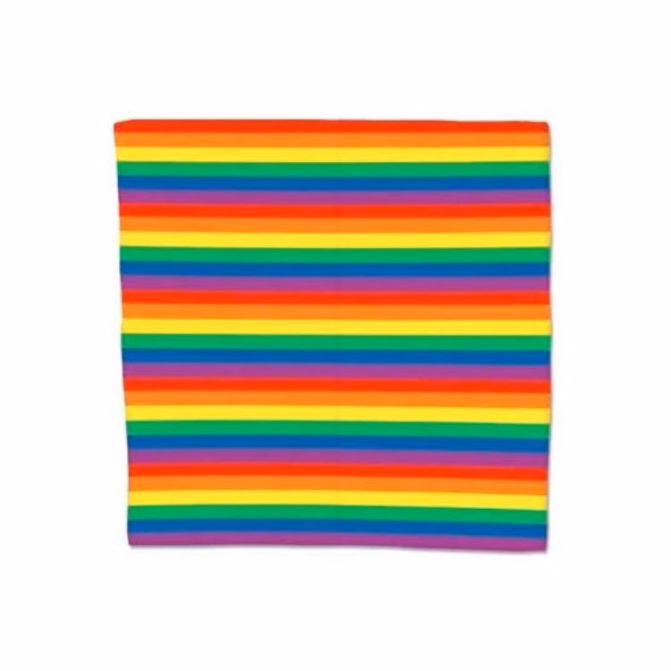 Rainbow Bandanas - 22" x 22"