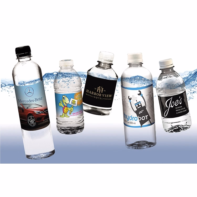 Custom Label 16.9 oz Bottled Water